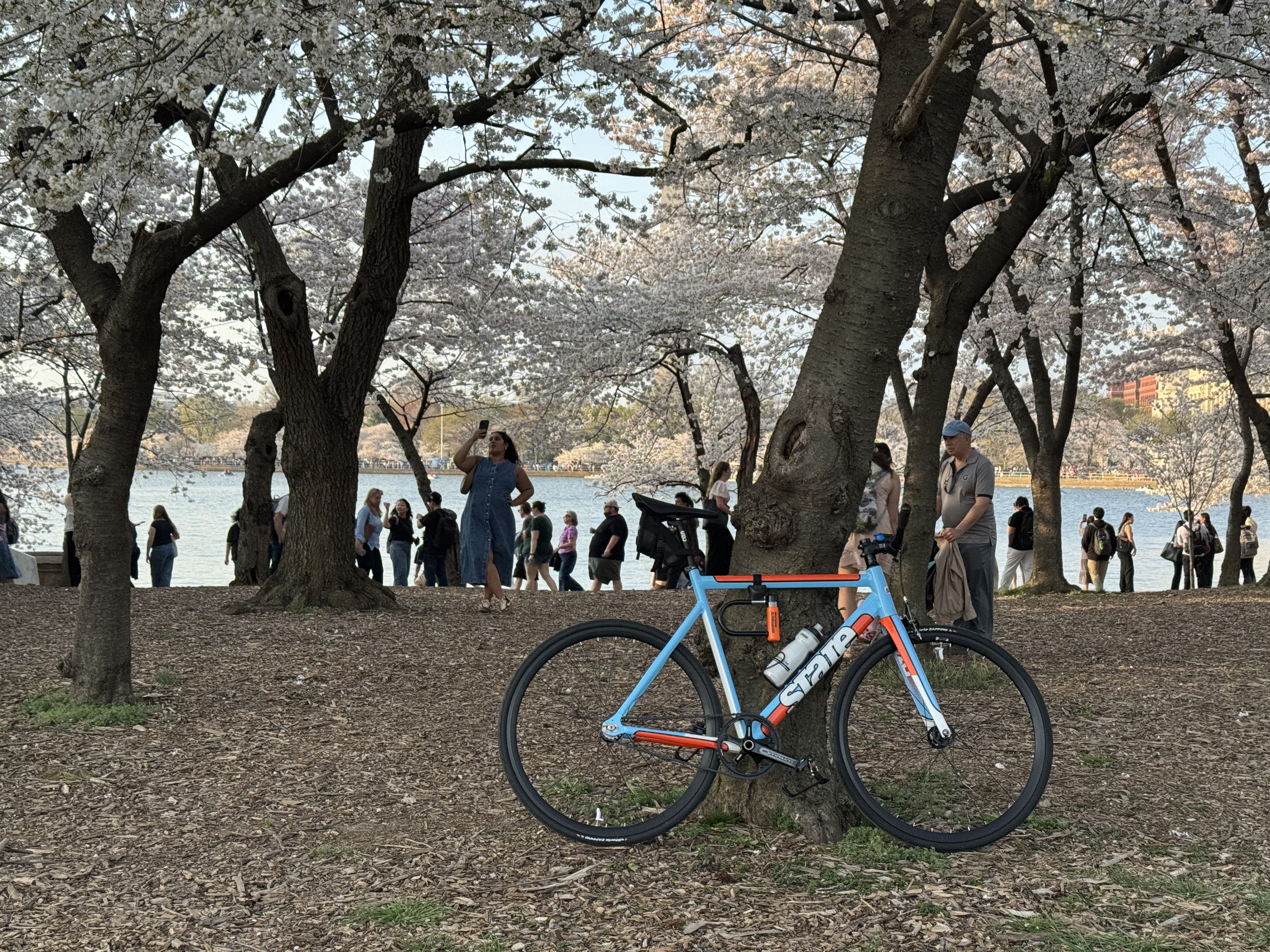 State Black Label v3 build photo