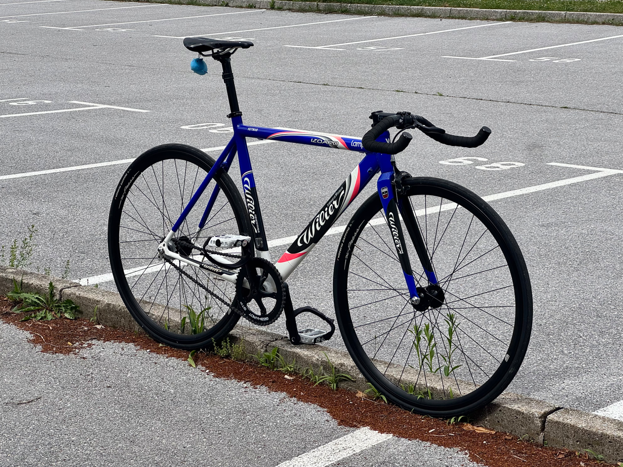 Wilier Triestina Izoard build photo